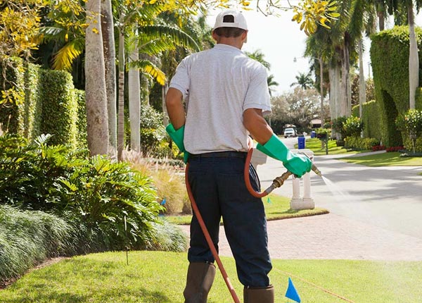 About Pine Meadow CT Pest Control